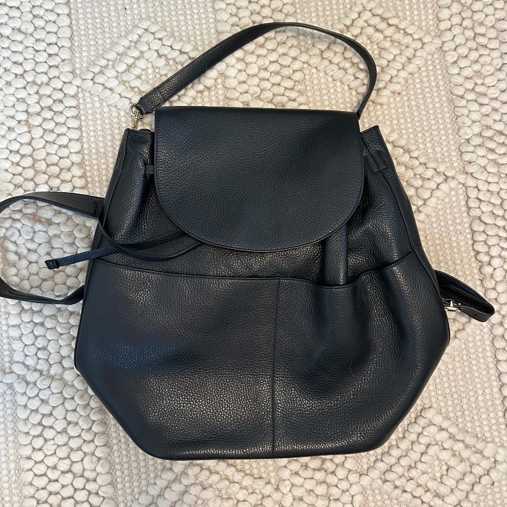 Cuyana Leather Backpack